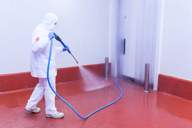 Trusted Lindon, UT Pressure Washing Experts